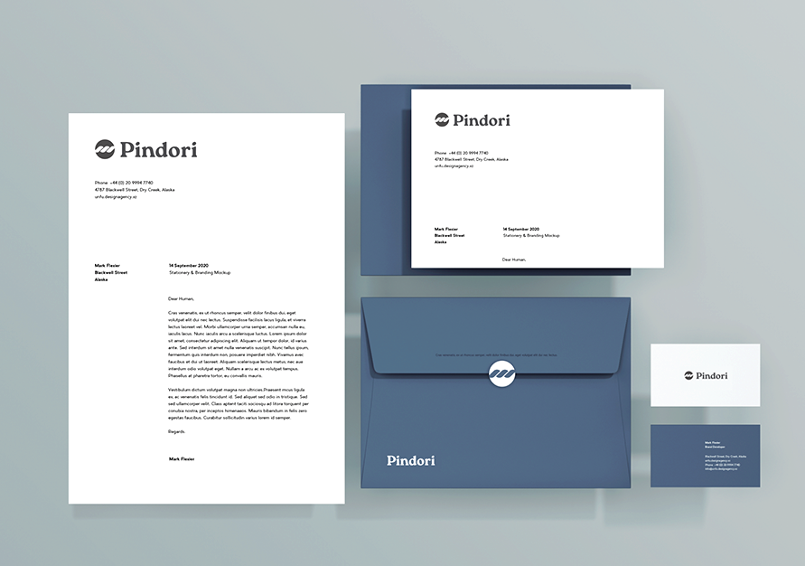 Pindori — identity and stationery