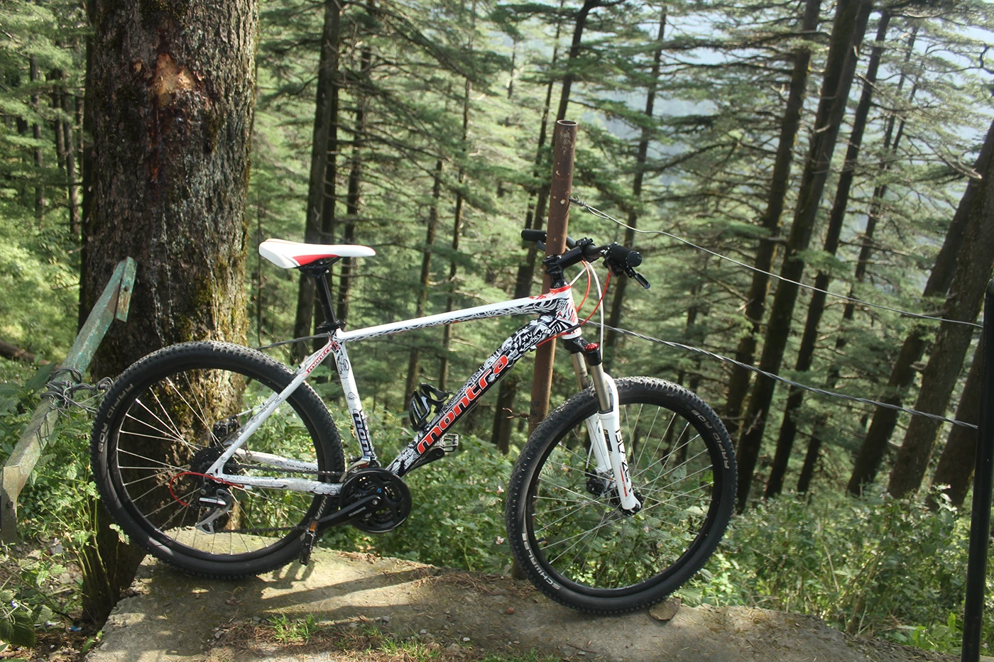 Custom Illustrated Bike — image 8